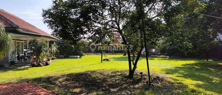 Tanah Bagus Dekat Yasmin-luas 3250 M2 Harga 4,6 Juta/m2-nego 1