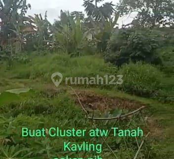 Tanah di Jl. Purnawirawan 1 Gg Senen, Langkapura, Bandar Lampung, Bandar Lampung SHM 1.647 m² 1