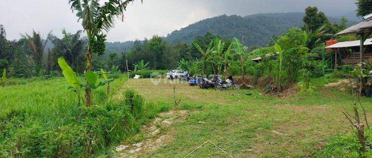 Tanah 1,6 Hektar di Wanayasa, Purwakarta, Cocok Untuk Usaha 1