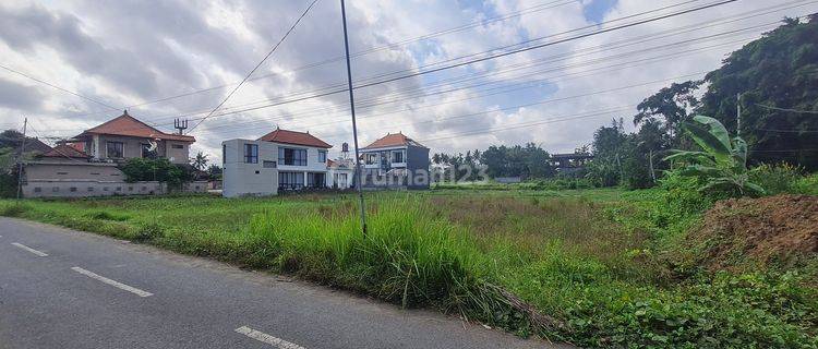 Tanah 12 Are Dijual Lokasi Strategis, Area Kemenuh 1