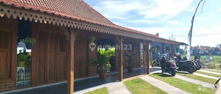 Resto Disewakan Area Kedungu Kediri, Tabanan 1