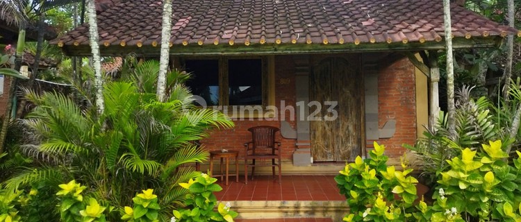 Villa View Pantai Disewakan Area Manggis, Karangasem 1
