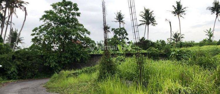 Lahan Aspek Jalan Aspal Disewakan di Blahbatuh, Gianyar 1