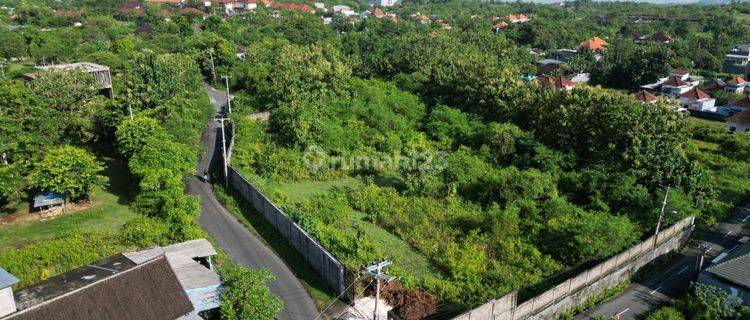 Tanah Disewakan 39 Are , Area Kuta Selatan 1