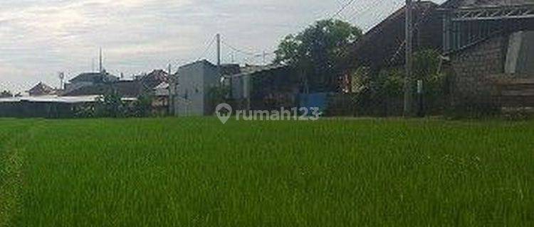 Tanah 20.2 are Lokasi Strategis Dekat Pantai Dijual, di Tabanan 1