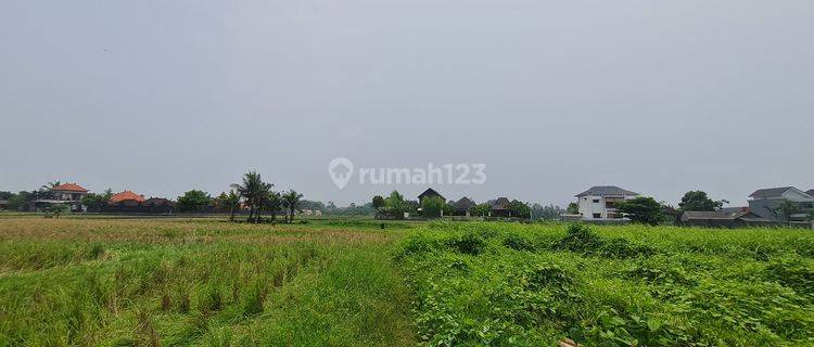 Tanah Disewakan 30 Thn Dekat Dengan Pantai Kedungu, Area Tabanan 1