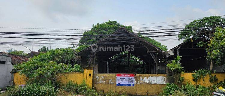 Tanah 7.2 are bonus bangunan non permanen Disewakan, di Gianyar 1