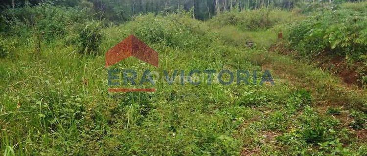 Tanah Kavling Minimalis di Ngenep Karangploso 1