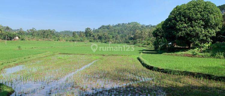 Tanah Cianjur Luas 27 Hektar Sertifikat Hak Milik 1