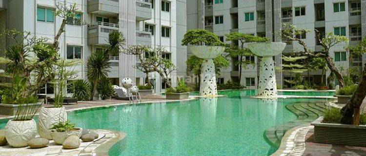 Apartement Sky Terrace Daan Mogot Baru 1 BR Furnished Bagus 1