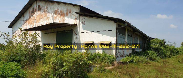 Dijual Cepat Tanah Dan Gudang di Raya Babat Tuban 3.7 Ha Jatim 1