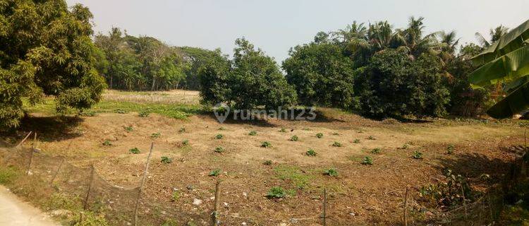 Termurah Dijual Tanah di Pakisjaya Karawang 4.950 M2 Pingir Jalan 1