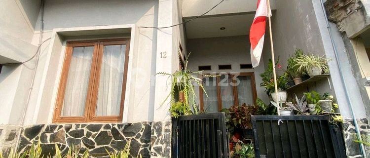 Rumah 3 Lantai Reni Jaya_pamulang Hanya 800jt 1