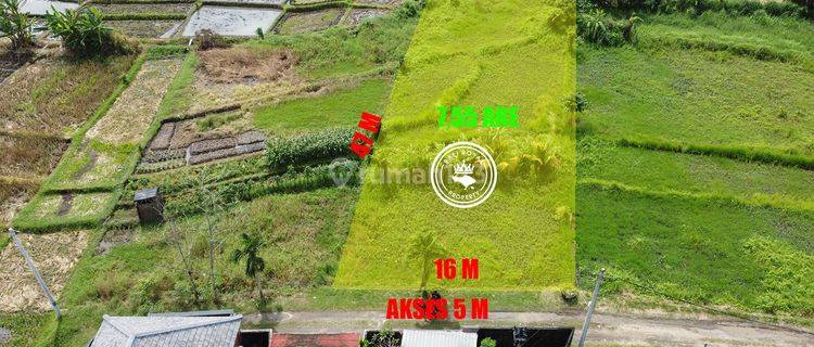DIKONTRAKKAN TANAH 7,55 ARE DI PERBATASAN NYANYI – VIEW SAWAH & ZONA KUNING! 1