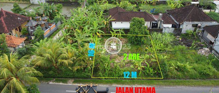 Tanah Pinggir Jalan Utama Pantai Kedungu Harga Murah 1