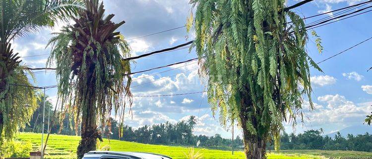 Rumah Indah Pemandangan Sawah Dan Gunung 1