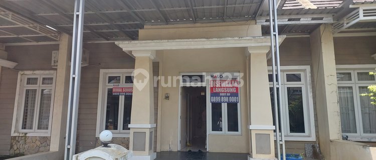 For Rent 1st Floor Jasmine Plamongan 1