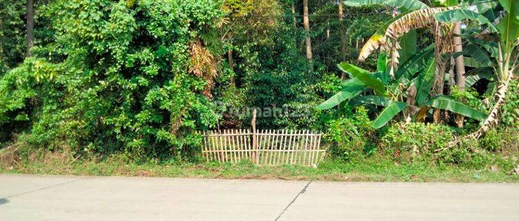 Tanah Perkebunan Siap Bangun, Lokasi di Jl Kampung Bengras, Sukanagara 1