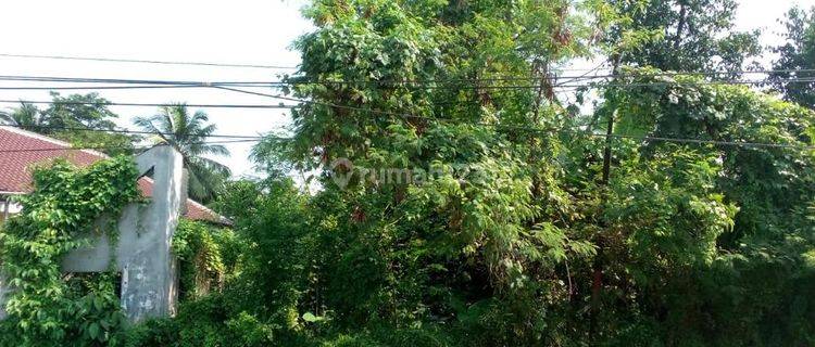 Kaveling Perkebunan Siap Bangun,lokasi di Jalan Cinangka, Anyar,serang 1