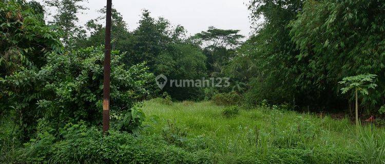 Tanah Perkebunan Siap Bangun, Tenggara, di Jalan Pematang, Tigaraksa 1