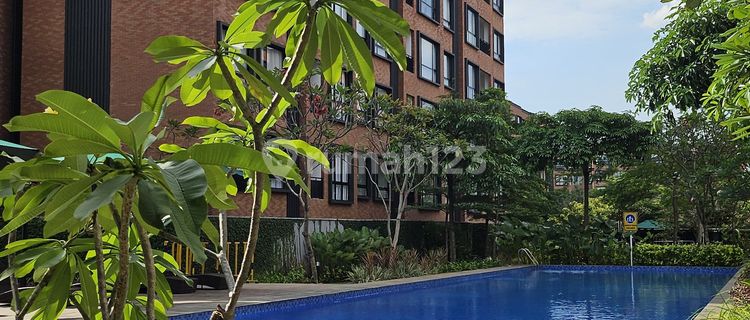 For Rent Ready-to-Occupy Apartment, Fully Furnished At Lloyd, Alam Sutera 1