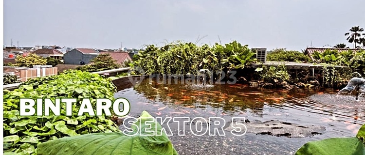 Rumah Villa 3 Lantai Dg Rooftop & Taman Di Bintaro Jaya Sektor 5 1