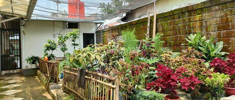 Dijual Rumah Jember Jawa Timur Jatim 1