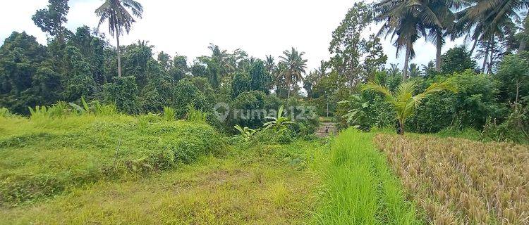 Tanah ubud Murah SHM Aspek Pemukiman 4050 m² 1