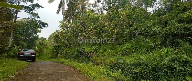 Tanah Murah Penebel Tabanan Dekat Wisata Jatiluwih 1