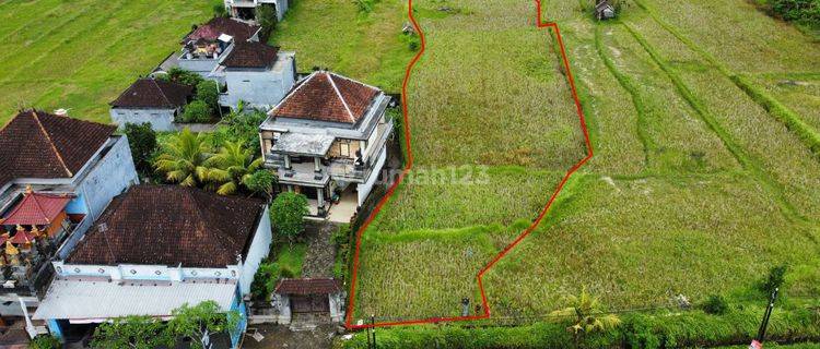 Tanah Gianyar SHM dekat Ubud view sawah cantik
 1