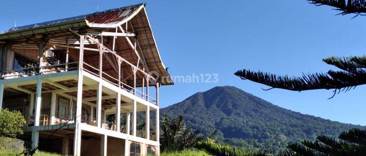 Villa Jatiluwih view Gunung dan sawah cantik 1