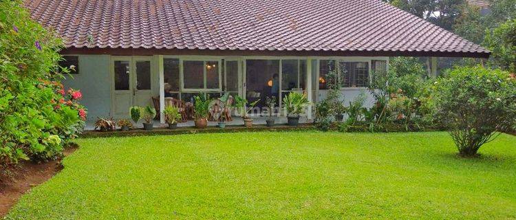 Villa Puncak Taman Safari Bogor, Bagus, Shm, Kotak, Jalan Lebar 1