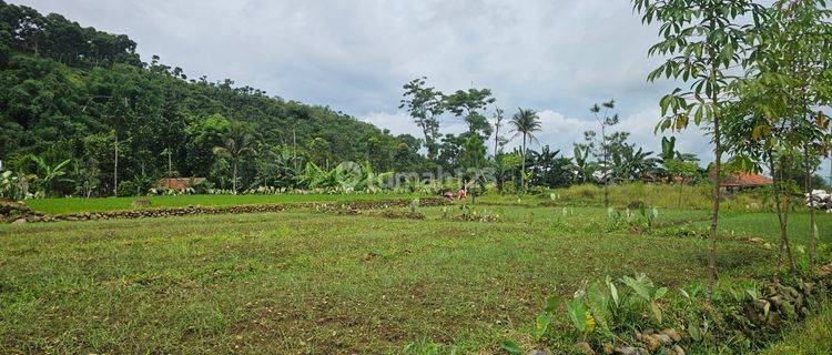 JUAL TANAH DI GUNUNG BUNDER PAMIJAHAN, VIEW GUNUNG SALAK 1