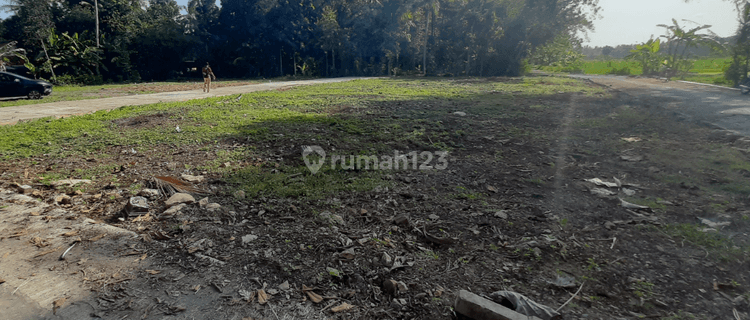 Tanah Kavling Di Wates 5 Menit Ke Polsek Panjatan SHM Jogja 1