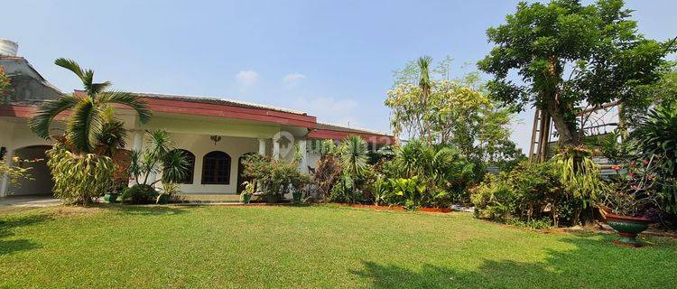 Tanah pekarangan disewakan untuk usaha  1