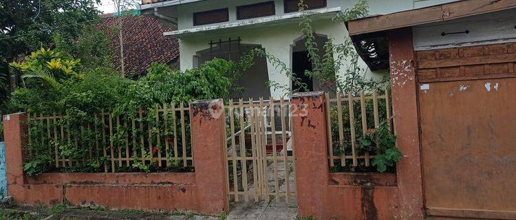 Rumah Megah di Kutoarjo Cocok Utk Keluarga Siap Huni 72627 Sri 1