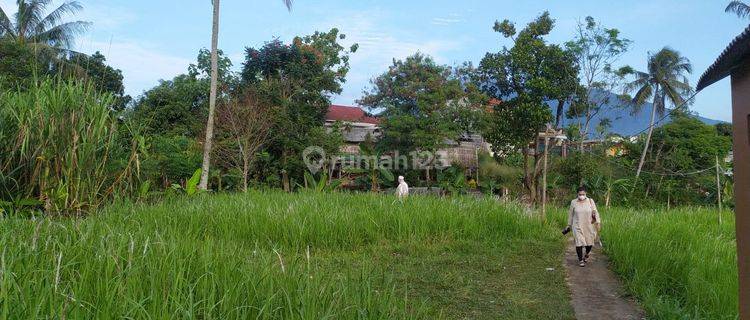 Tanah di Lokasi Strategis Dekat Exit Tol Caringin, Cimande, Bogor 1