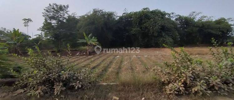 Dijual Murah Tanah di Pagaden Subang dekat tol Cipali strategis  1