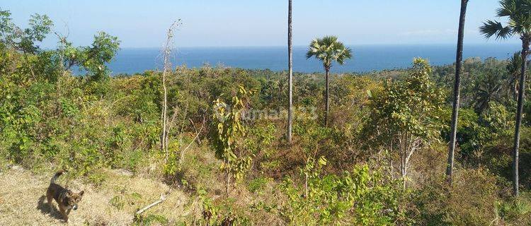 Dijual Tanah Murah unblock View Laut di Seraya Barat Karangasem 1