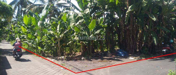 Tanah Perumahan Hook Dekat Green School Abian Semal Bali 1