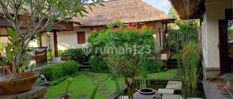 Bali Tropical Villa Prime Location Near Echo Beach Canggu 1