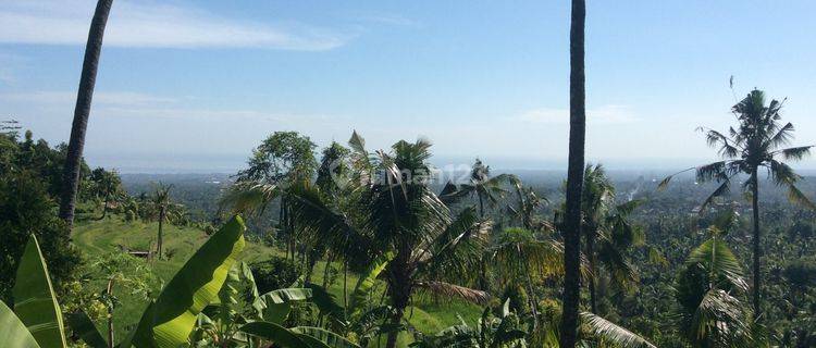 Magnifficient Panoramic Ocan View Land Panji Singaraja North Bali 1