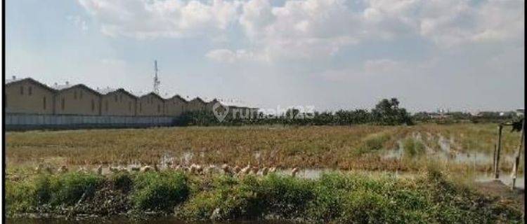 Tanah Industri Raya Demak Semarang Batu Karang Tengah Demak 1