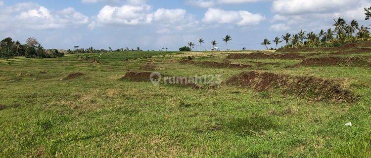 Tanah di Warnasari Jembrana Bali Untuk Perkebunan Dan Peternakan 1