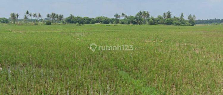 Dijual Tanah Zona Perumahan Tangerang 1