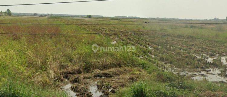 DIJUAL TANAH INDUSTRI DI CIREBON 1