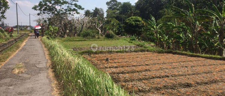 BUC Tanah Investasi. Area Denpasar Timur.  1