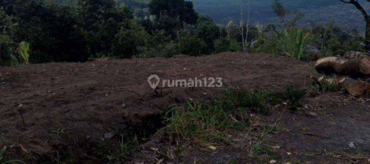 Tanah Lokasi Prime View Gunung Batur Kintamani 1