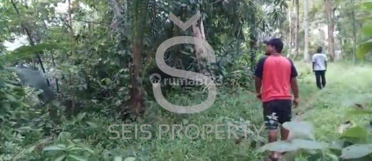 Dijual Tanah Luas Di Pangandaran 1
