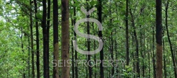 Dijual Tanah Di Jl Pelabuhan Ratu Sukabumi 1